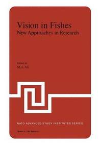 bokomslag Vision in Fishes