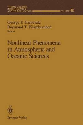 bokomslag Nonlinear Phenomena in Atmospheric and Oceanic Sciences