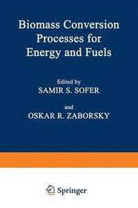 bokomslag Biomass Conversion Processes for Energy and Fuels
