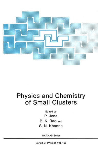 bokomslag Physics and Chemistry of Small Clusters