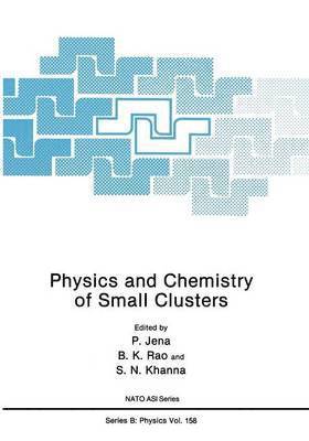 P. Jena - Physics and Chemistry of Small Clusters, Häftad