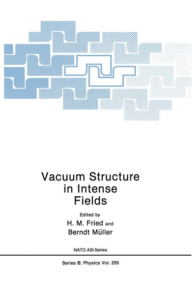 H.M. Fried, Berndt Muller - Vacuum Structure in Intense Fields, Häftad