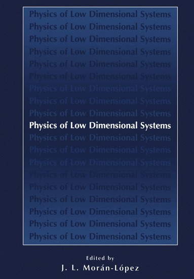 bokomslag Physics of Low Dimensional Systems