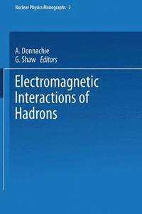 bokomslag Electromagnetic Interactions of Hadrons