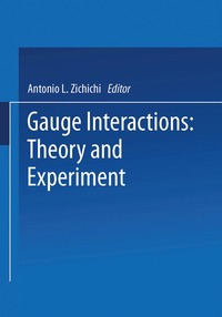 bokomslag Gauge Interactions