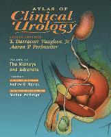 bokomslag Atlas Of Clinical Urology
