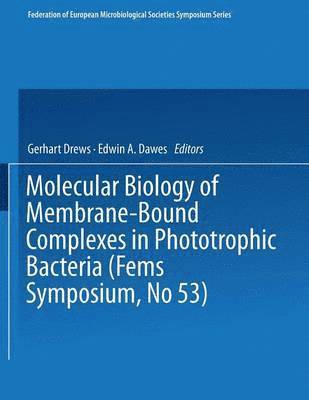 Gerhart Drews, Edwin A. Dawes, Edwin a. Dawes - Molecular Biology of Membrane-Bound Complexes in Phototrophic Bacteria, Häftad