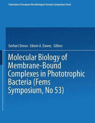 Molecular Biology of Membrane-Bound Complexes in Phototrophic Bacteria 1