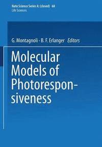 bokomslag Molecular Models of Photoresponsiveness