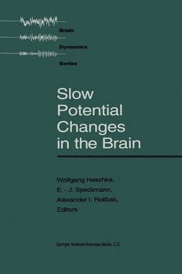 Slow Potential Changes in the Brain