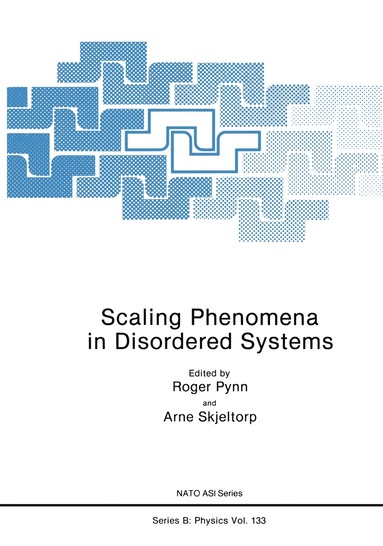 Roger Pynn, Arne Skjeltorp - Scaling Phenomena in Disordered Systems, Häftad