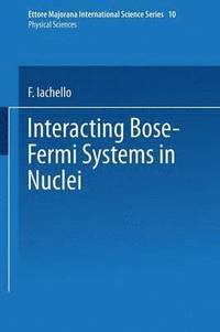 bokomslag Interacting Bose-Fermi Systems in Nuclei