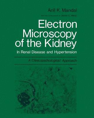 Electron Microscopy of the Kidney 1