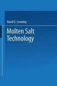 bokomslag Molten Salt Technology