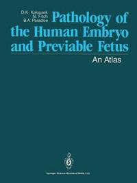 bokomslag Pathology of the Human Embryo and Previable Fetus