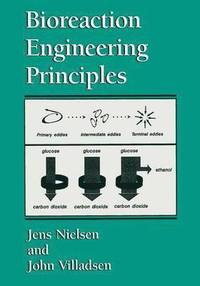 bokomslag Bioreaction Engineering Principles