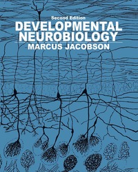 bokomslag Developmental Neurobiology