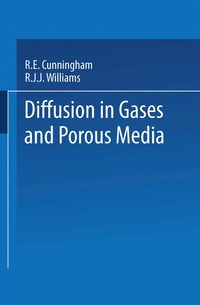 bokomslag Diffusion in Gases and Porous Media