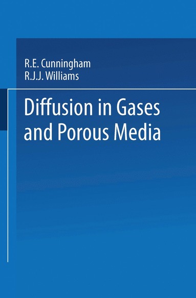 bokomslag Diffusion in Gases and Porous Media