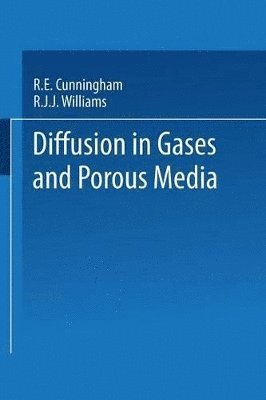 Diffusion in Gases and Porous Media 1