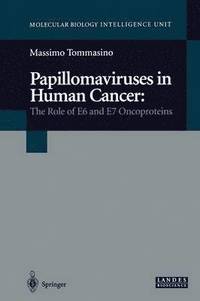 bokomslag Papillomaviruses in Human Cancer