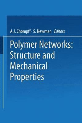 bokomslag Polymer Networks