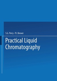 bokomslag Practical Liquid Chromatography