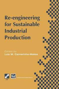 bokomslag Re-engineering for Sustainable Industrial Production