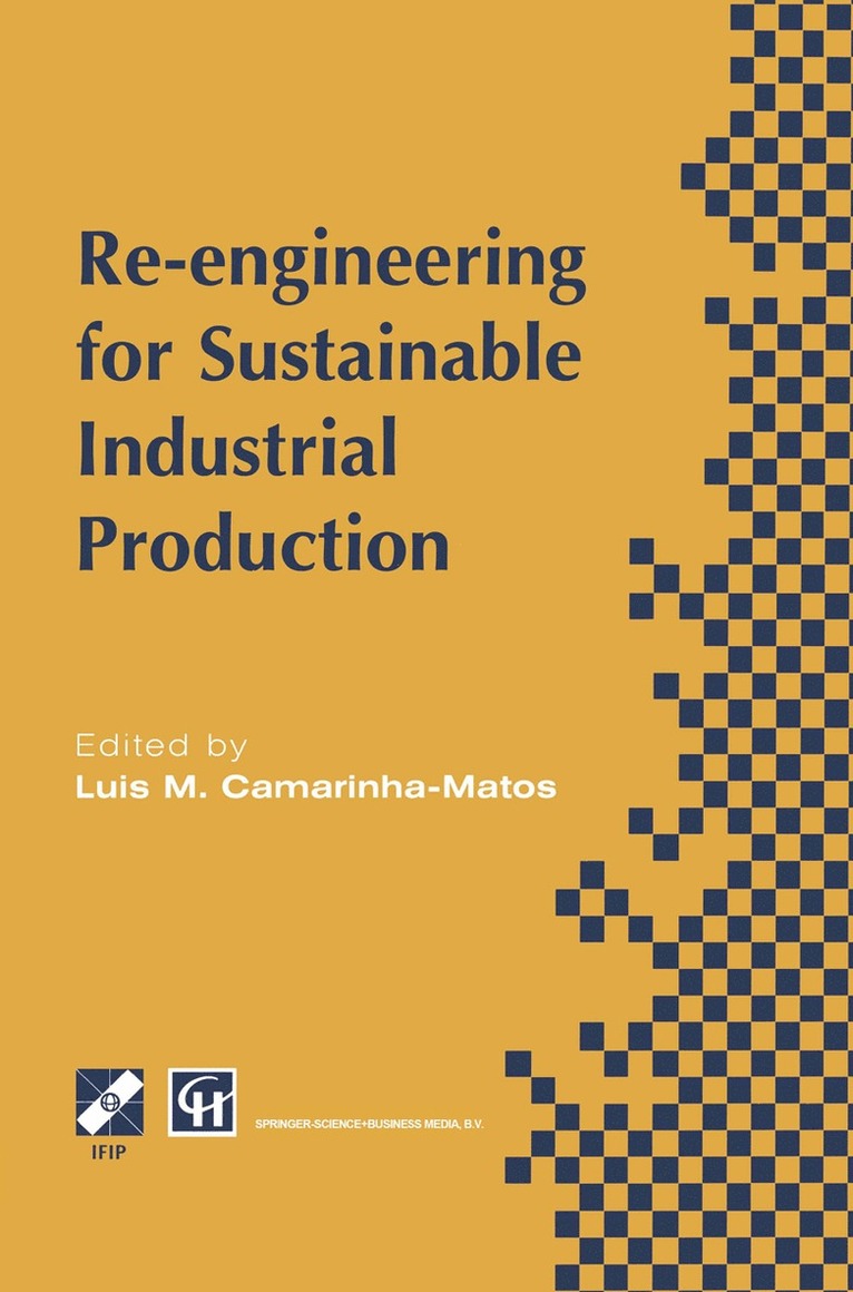 Luis M. Camarinha-Matos - Re-engineering for Sustainable Industrial Production, Häftad