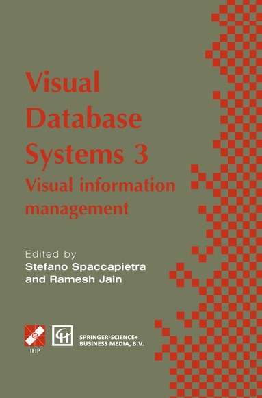 Stefano Spaccapietra, Ramesh Jain - Visual Database Systems 3, Häftad