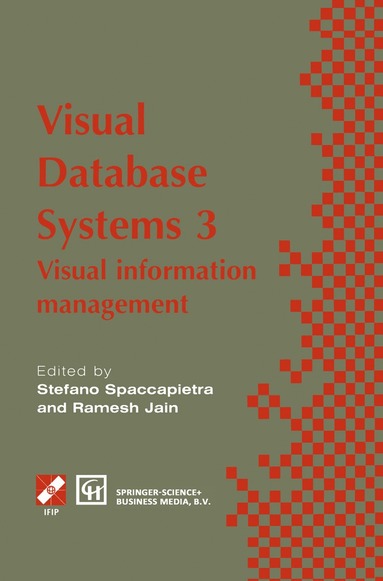 bokomslag Visual Database Systems 3