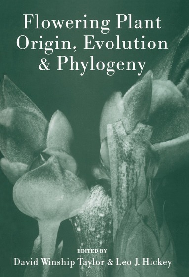 David W. Taylor, Leo Hickey - Flowering Plant Origin, Evolution & Phylogeny, Häftad