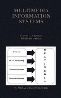bokomslag Multimedia Information Systems