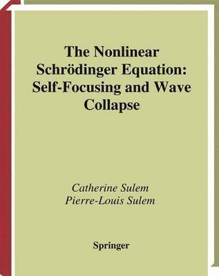 bokomslag The Nonlinear Schrdinger Equation