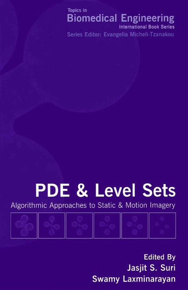 Swamy Laxminarayan - PDE and Level Sets, Häftad