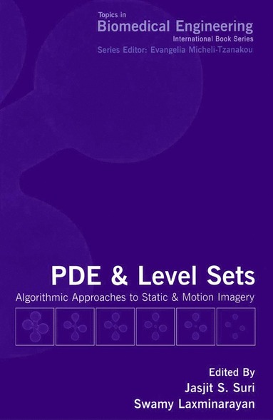 bokomslag PDE and Level Sets