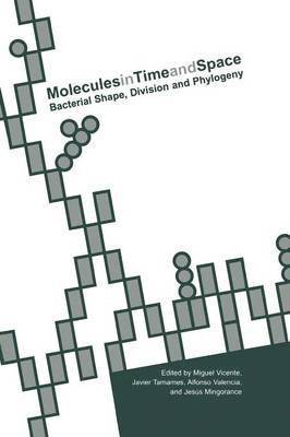 Miguel Vicente, Javier Tamames, Alfonso Valencia, Jesús Mingorance - Molecules in Time and Space, Häftad