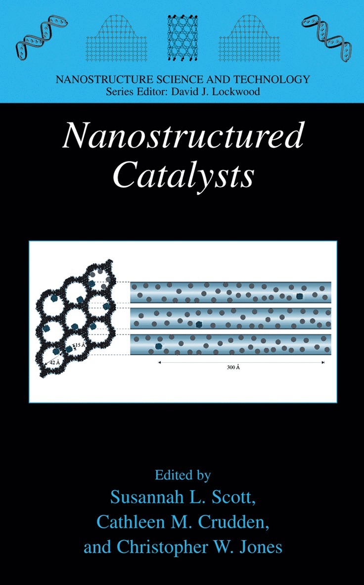 Susannah L. Scott, Cathleen M. Crudden, Christopher W. Jones - Nanostructured Catalysts, Häftad