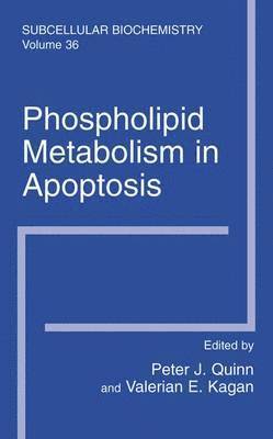 Phospholipid Metabolism in Apoptosis 1