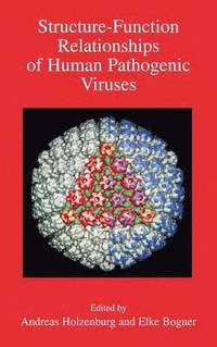 bokomslag Structure-Function Relationships of Human Pathogenic Viruses