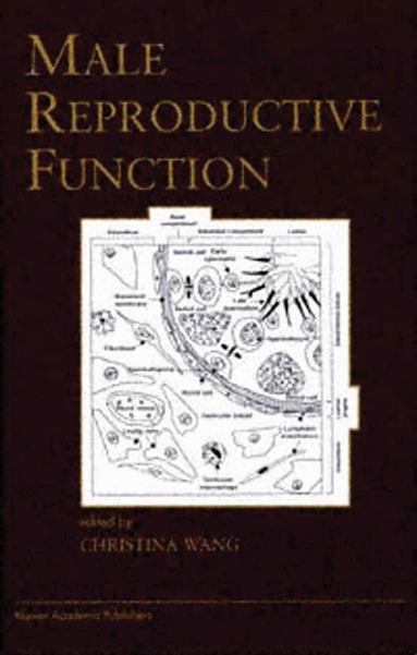 Christina Wang - Male Reproductive Function, Häftad