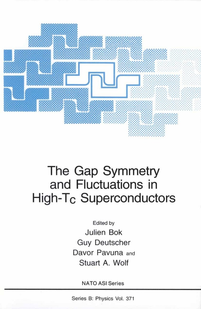 Julien Bok, Guy Deutscher, Davor Pavuna, Stuart A. Wolf - Gap Symmetry and Fluctuations in High-Tc Superconductors, Häftad