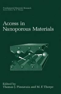 bokomslag Access in Nanoporous Materials