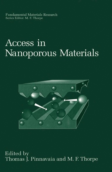 bokomslag Access in Nanoporous Materials