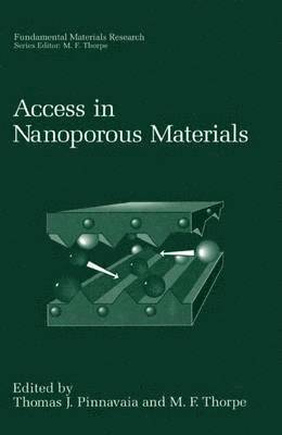 Access in Nanoporous Materials 1
