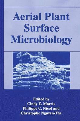 Aerial Plant Surface Microbiology 1