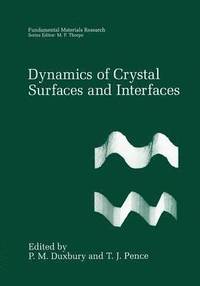 bokomslag Dynamics of Crystal Surfaces and Interfaces