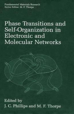 Phase Transitions and Self-Organization in Electronic and Molecular Networks 1