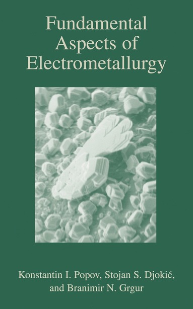 bokomslag Fundamental Aspects of Electrometallurgy