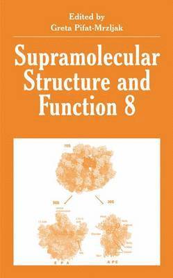 Greta Pifat-Mrzljak - Supramolecular Structure and Function 8, Häftad